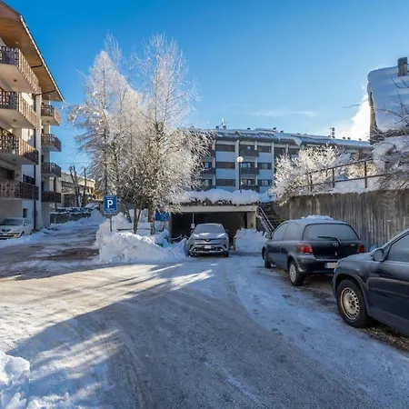 Rododendro - Ciclovia Alpe Adria Apt With Terrace *
